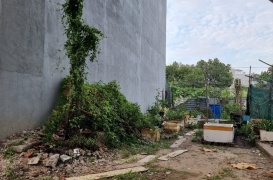 Bán lô đất diện tích 4x14,5 giá rẻ 2 tỉ 650 triệu tại phường Hiệp Thành Quận 12